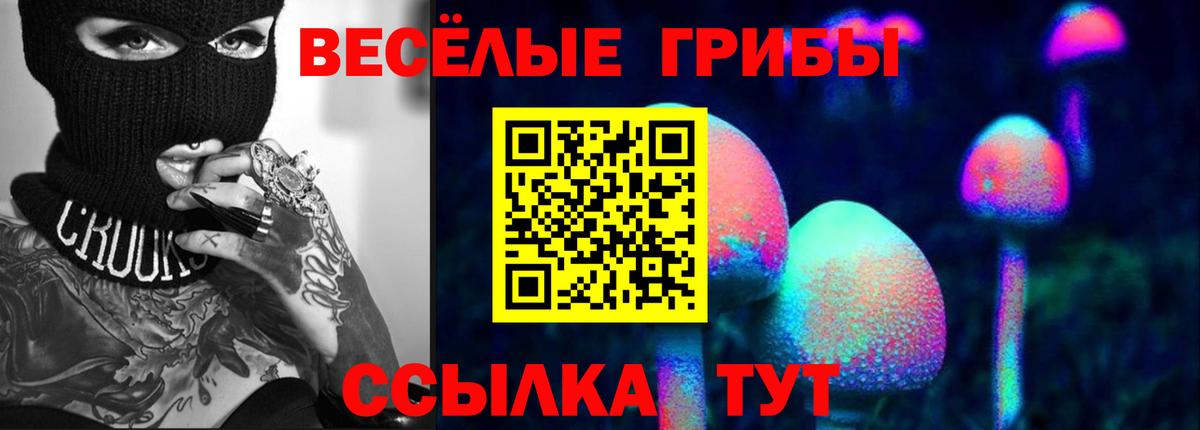 Псилоцибиновые грибы Cubensis  Вход с VPN  Ржев  Галлюциногенные грибы MAGIC MUSHROOMS 